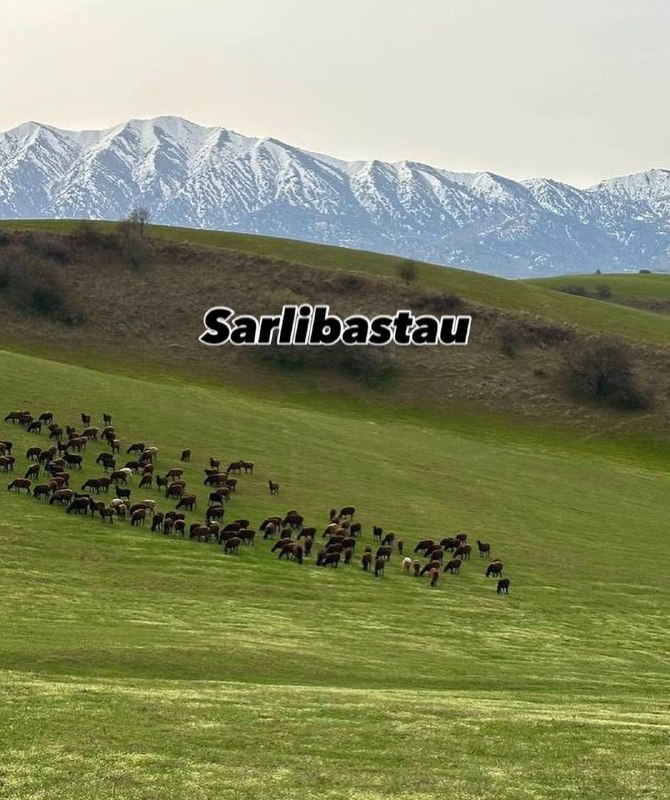 Буритаг – Кунгурберат – Карамазар — 3