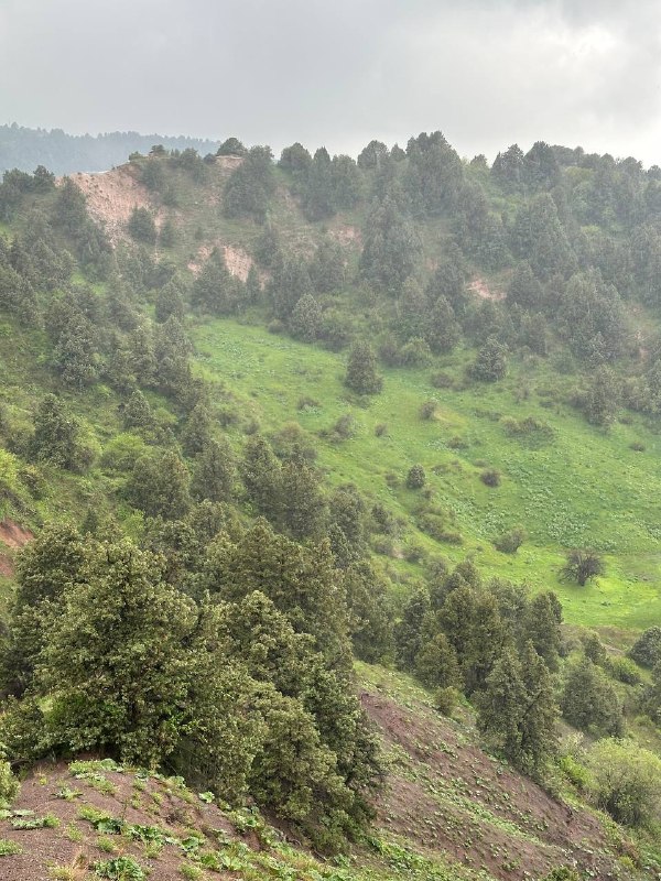 Вершина Обзорная — 2