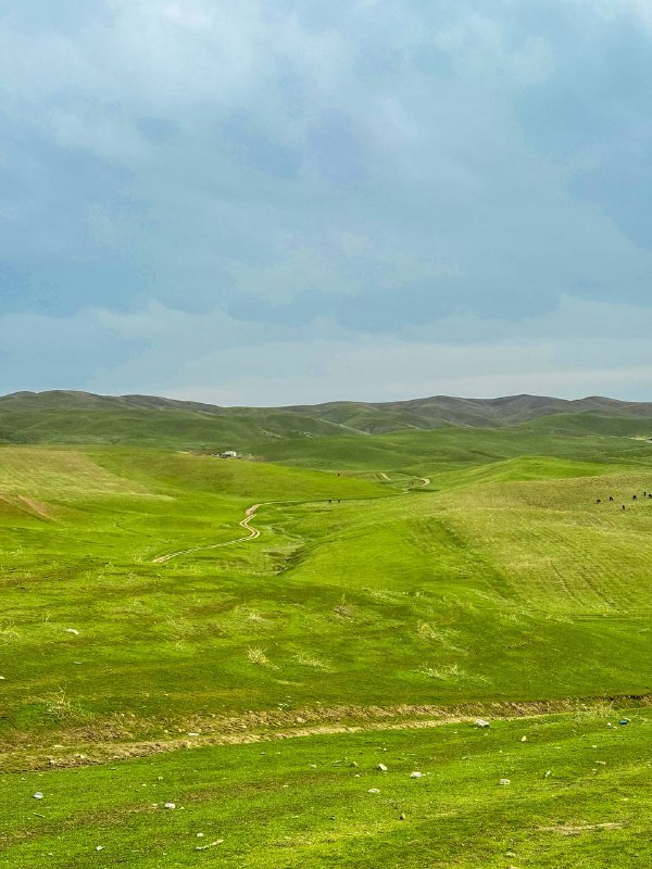 Холмы как в Windows XP — 2
